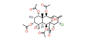 Gemmacolide H